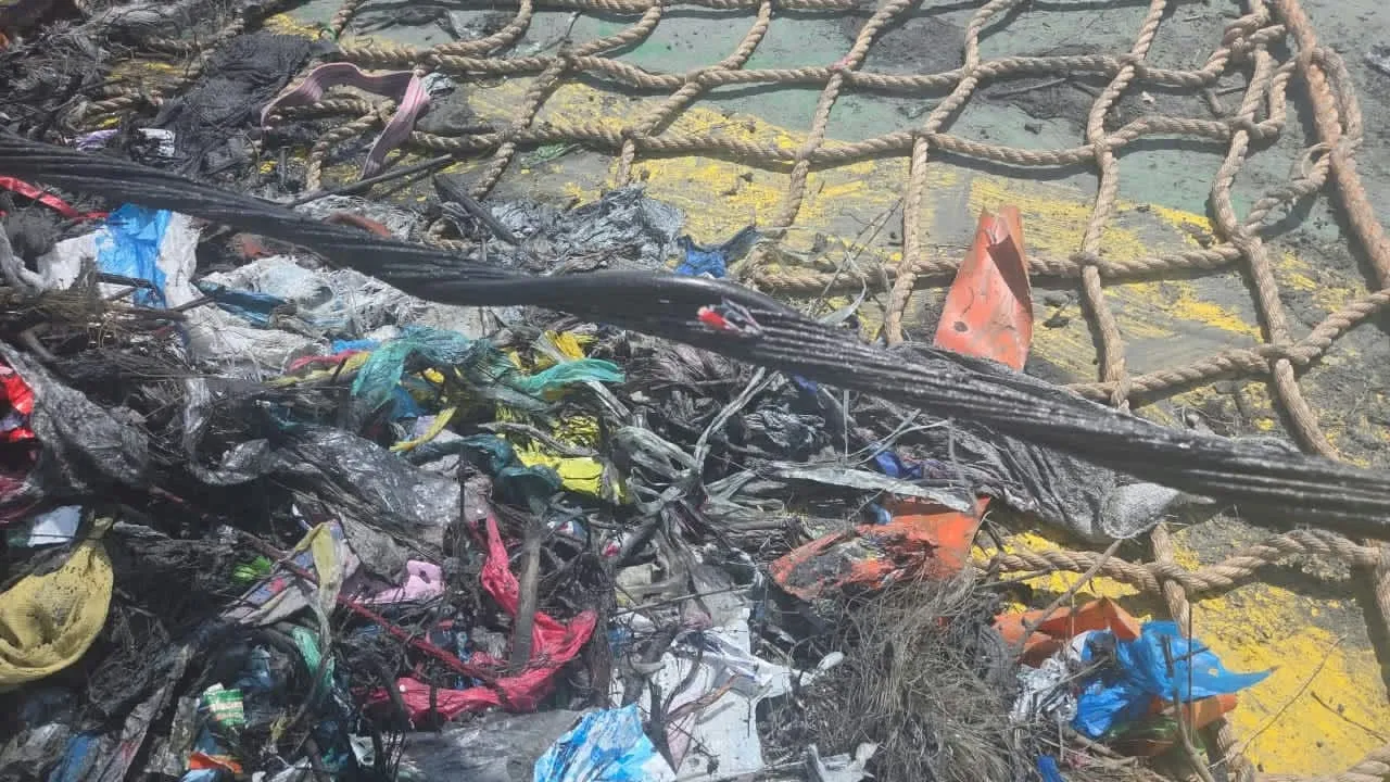 Submarine cable recovery: plastic and rubbish wrapped around the cable