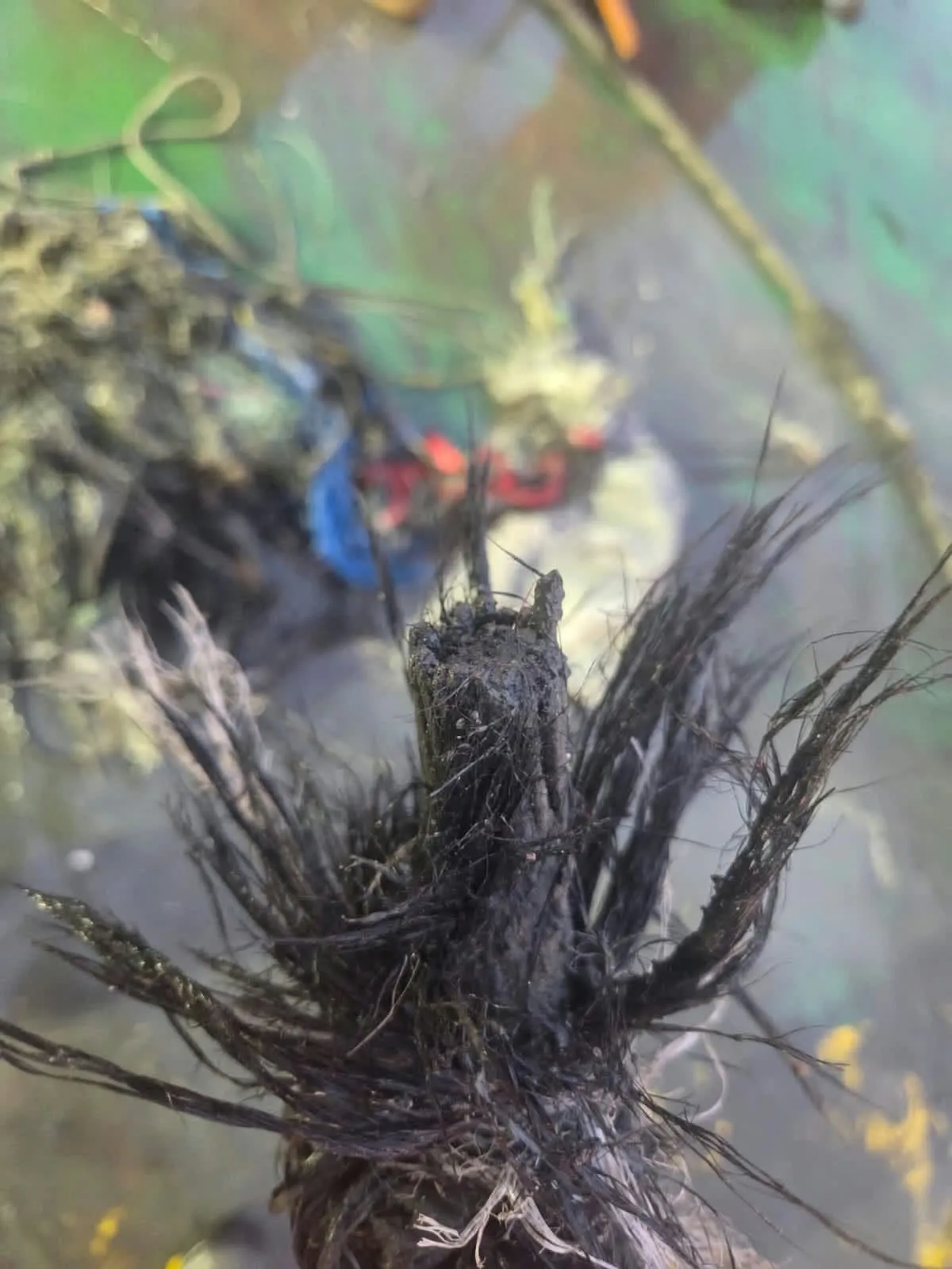 Submarine cable recovery: close-up of a frayed cable end