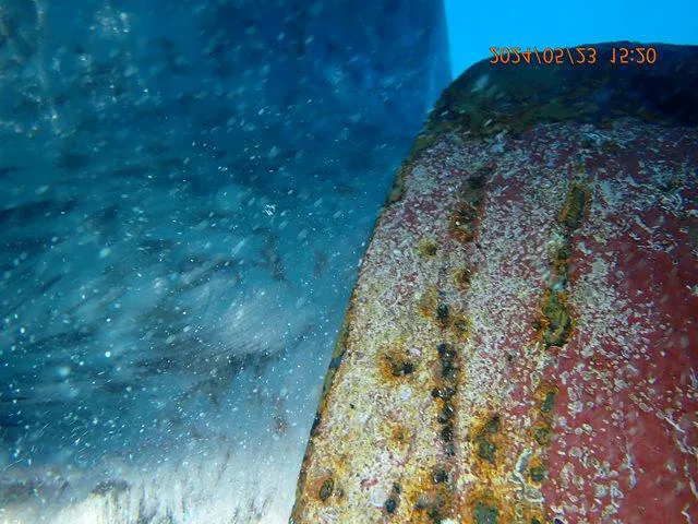 Rope guard after cleaning
