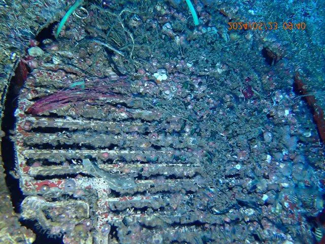 Starboard stern and sea chests before cleaning, covered in marine growth