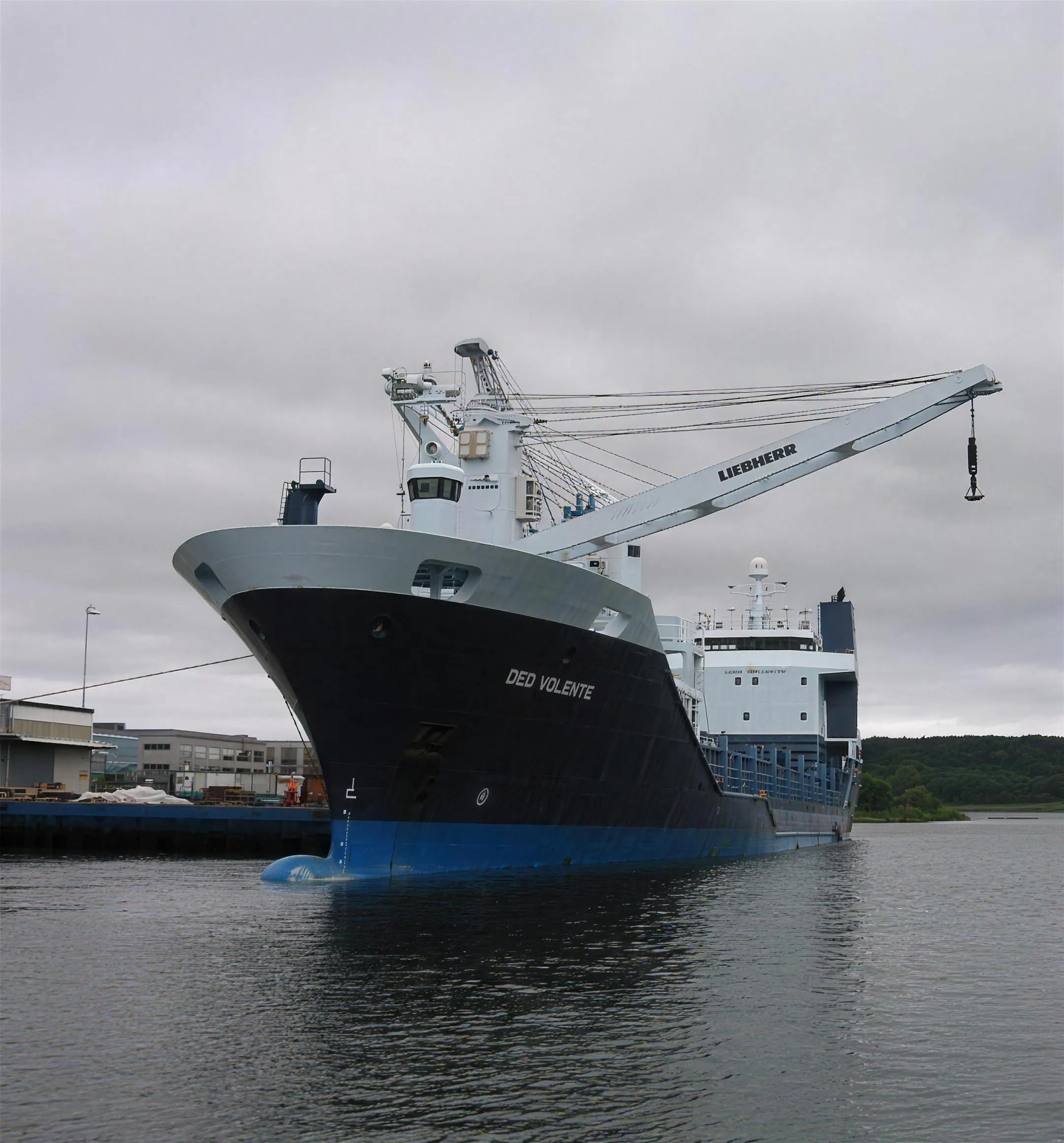 VFSA and FME, Batangas: Unloading general cargo with the vessel's deck crane.