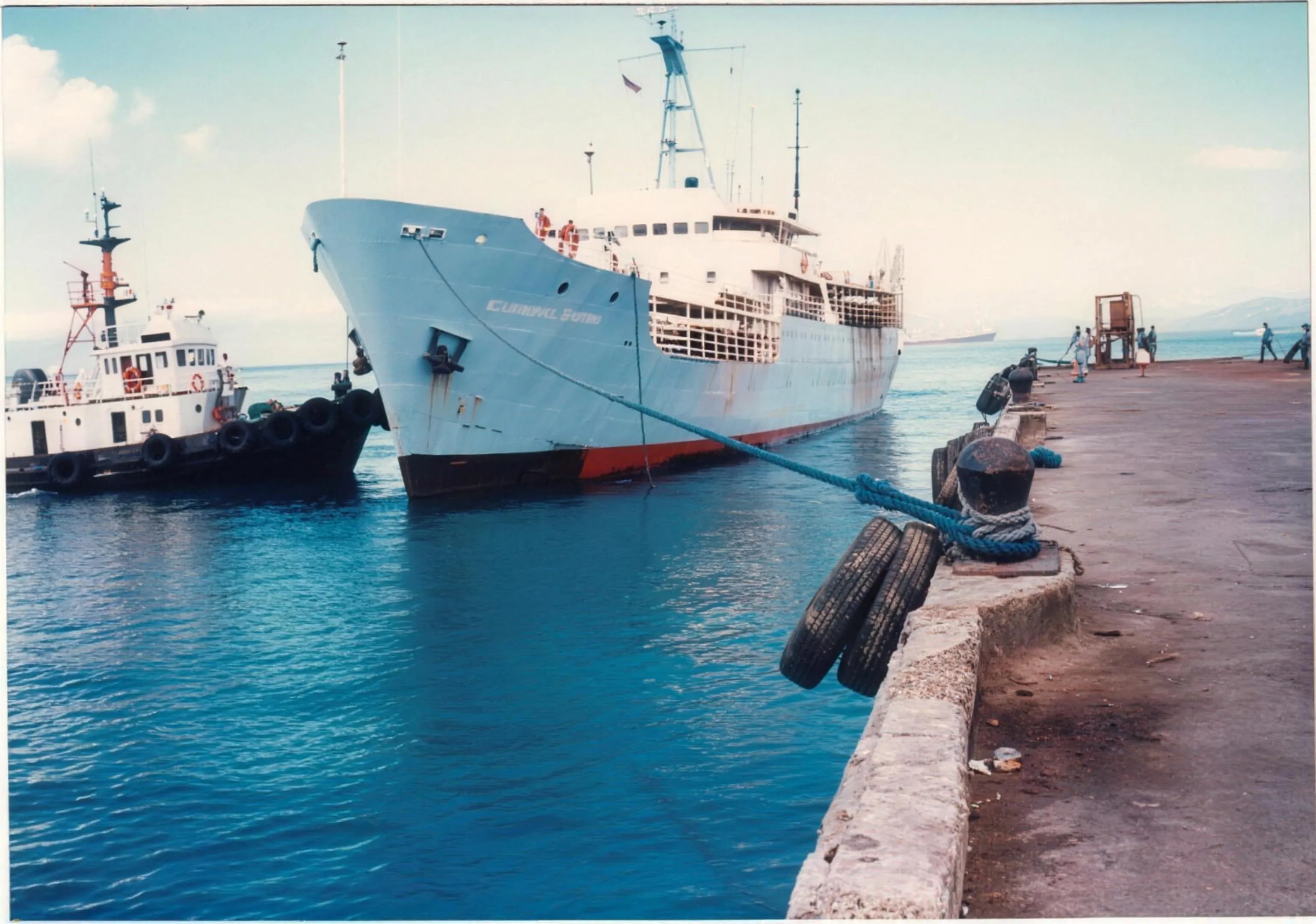 M/V Kalymnian Express: Discharging live cattle from Australia at the Port of Batangas.