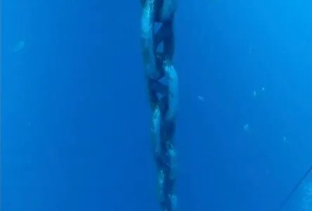 Dive photo, June 30, 2024: anchor chain hanging in open water